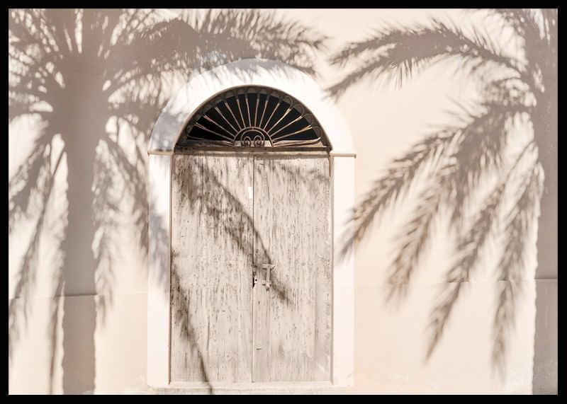 Palm Tree Shadows-12