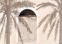 Photograph of wooden door with palm tree shadows on light facade-7