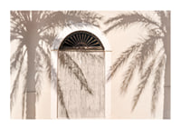 Photograph of wooden door with palm tree shadows on light facade-1