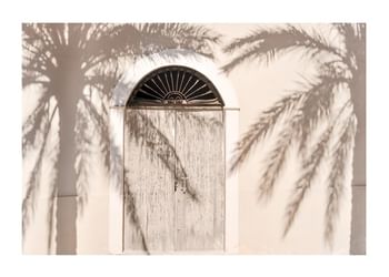 Juliste Palm Tree Shadows