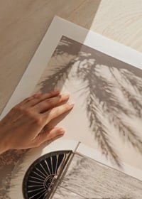 Photograph of wooden door with palm tree shadows on light facade-9