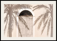 Photograph of wooden door with palm tree shadows on light facade-2