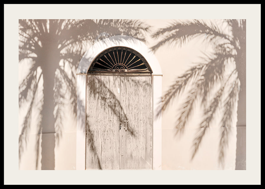 Photograph of wooden door with palm tree shadows on light facade-12