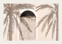 Photograph of wooden door with palm tree shadows on light facade-3