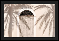 Photograph of wooden door with palm tree shadows on light facade-4