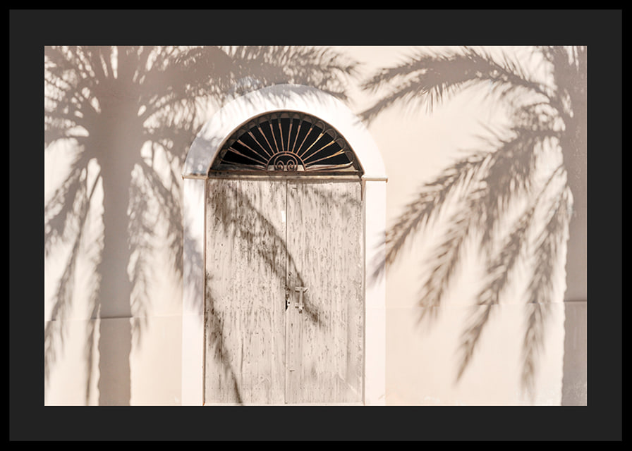 Photograph of wooden door with palm tree shadows on light facade-12