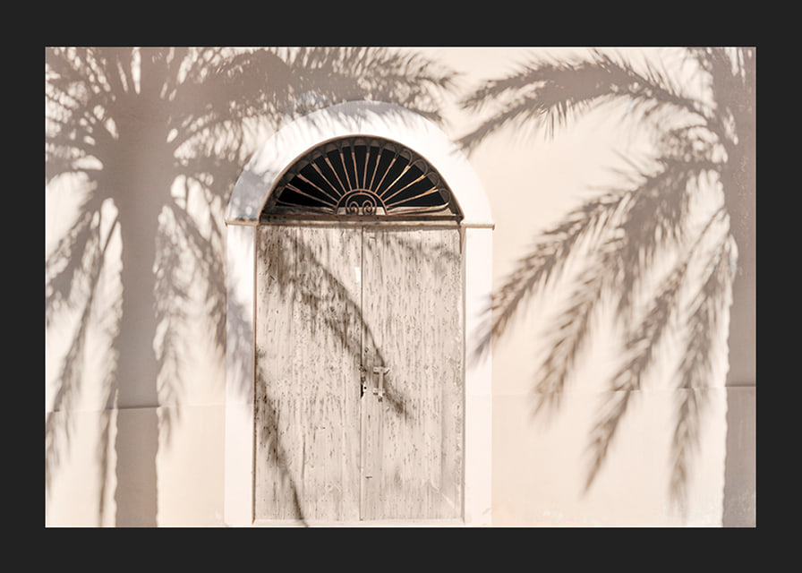 Photograph of wooden door with palm tree shadows on light facade-12
