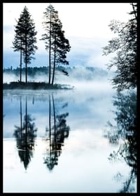 Misty Morning-2