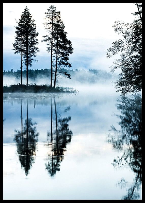 Misty Morning-12