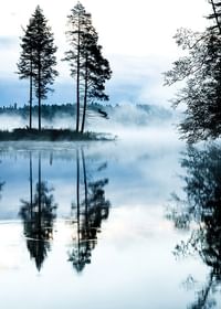 Misty Morning-3