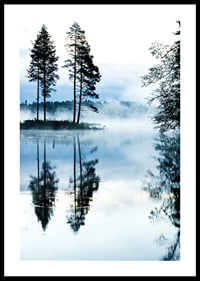 Fotografi av tallar vid sjö med dimma och spegelblankt vatten-0
