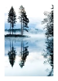 Misty Morning-1