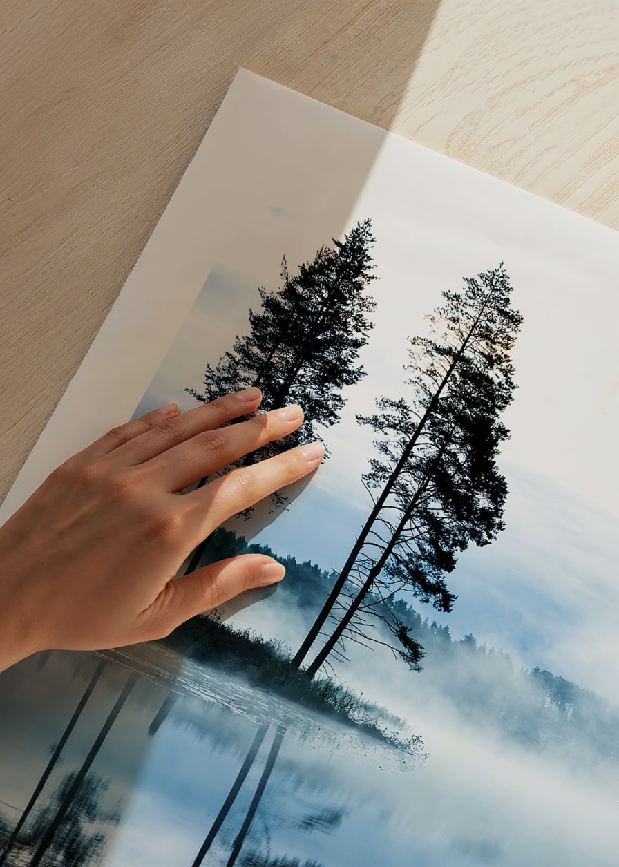 Fotografi av tallar vid sjö med dimma och spegelblankt vatten-12