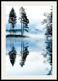 Fotografi av tallar vid sjö med dimma och spegelblankt vatten-2