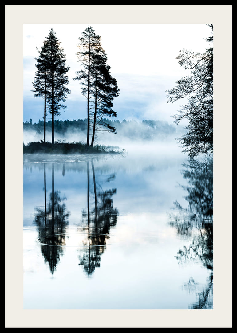 Fotografi av tallar vid sjö med dimma och spegelblankt vatten-12