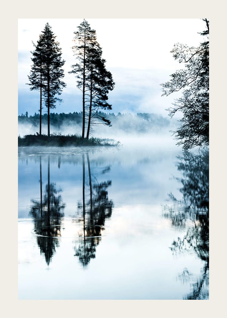 Fotografi av tallar vid sjö med dimma och spegelblankt vatten-12