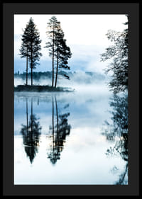 Fotografi av tallar vid sjö med dimma och spegelblankt vatten-4