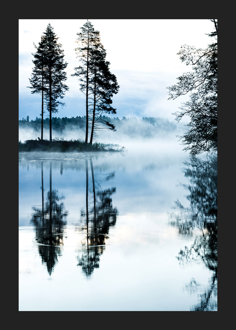 Fotografi av tallar vid sjö med dimma och spegelblankt vatten-12