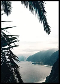 Photograph of palm leaves in the foreground with coast and mountains in fog-6