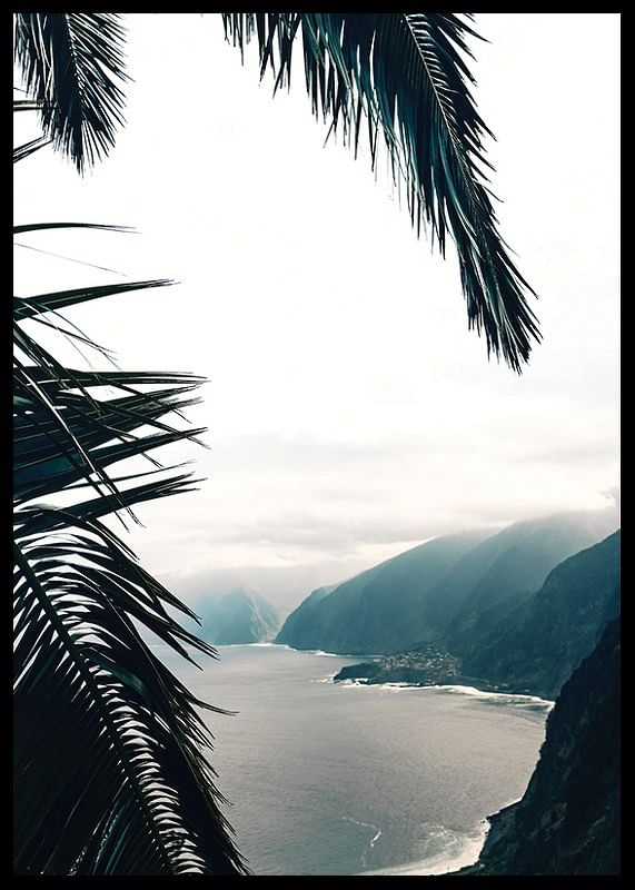 Between Palm Leaves-12