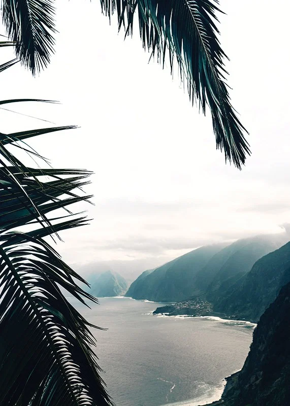 Photograph of palm leaves in the foreground with coast and mountains in fog-12
