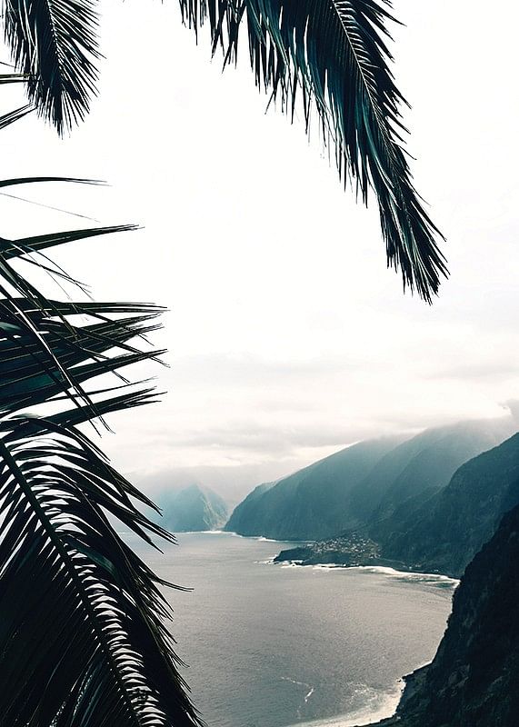 Between Palm Leaves-12