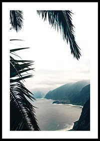 Photograph of palm leaves in the foreground with coast and mountains in fog-0