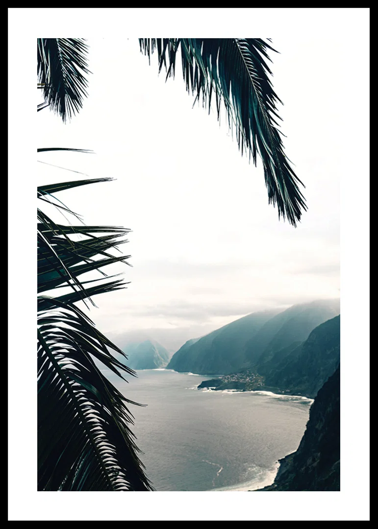Photograph of palm leaves in the foreground with coast and mountains in fog-12