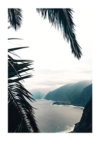 Photograph of palm leaves in the foreground with coast and mountains in fog-1