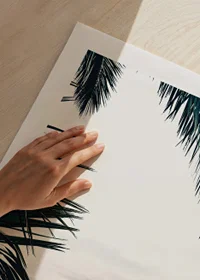 Photograph of palm leaves in the foreground with coast and mountains in fog-9