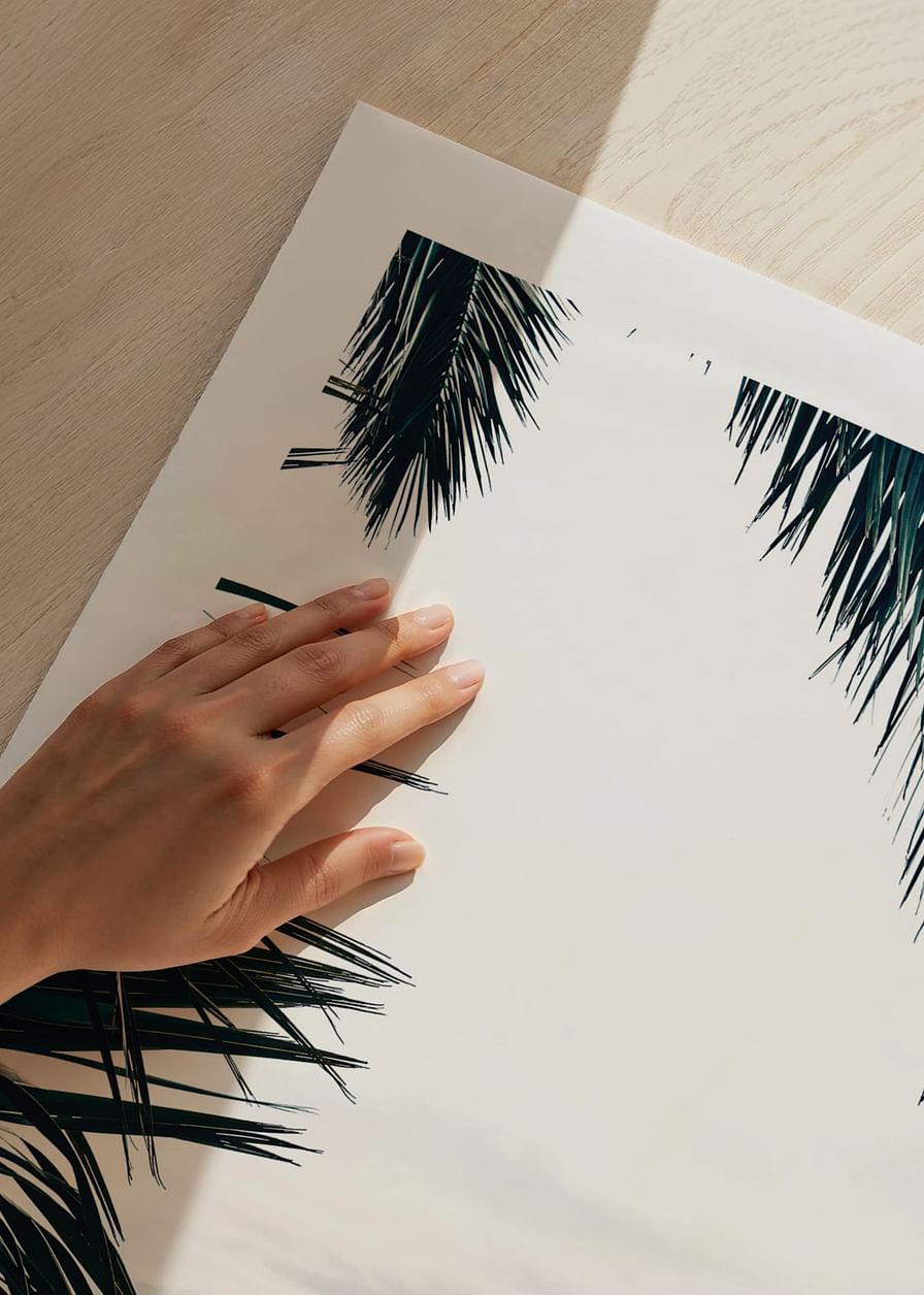 Between Palm Leaves-12
