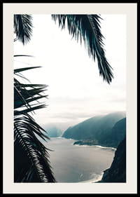 Photographie de feuilles de palmier au premier plan avec la côte et les montagnes dans le brouillard-2
