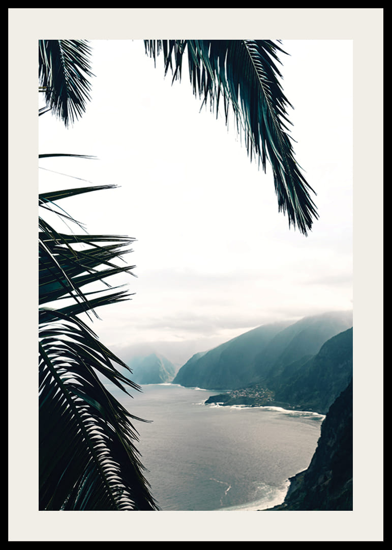 Photographie de feuilles de palmier au premier plan avec la côte et les montagnes dans le brouillard-12