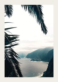 Photographie de feuilles de palmier au premier plan avec la côte et les montagnes dans le brouillard-3