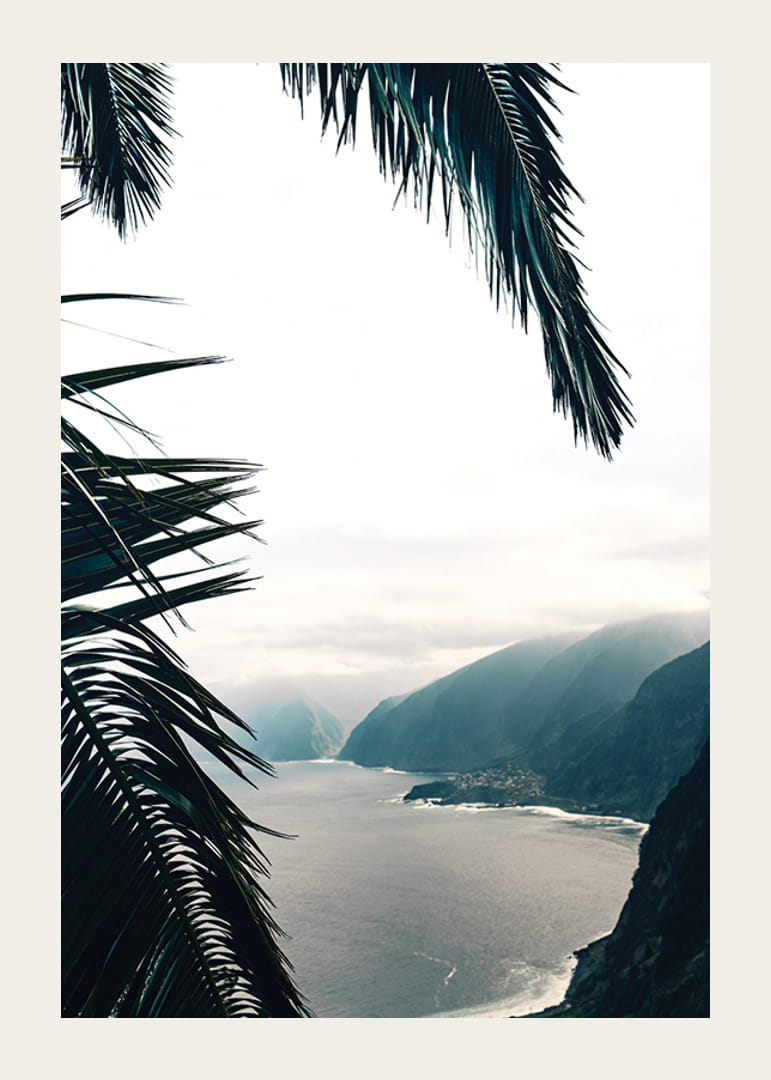 Photographie de feuilles de palmier au premier plan avec la côte et les montagnes dans le brouillard-12