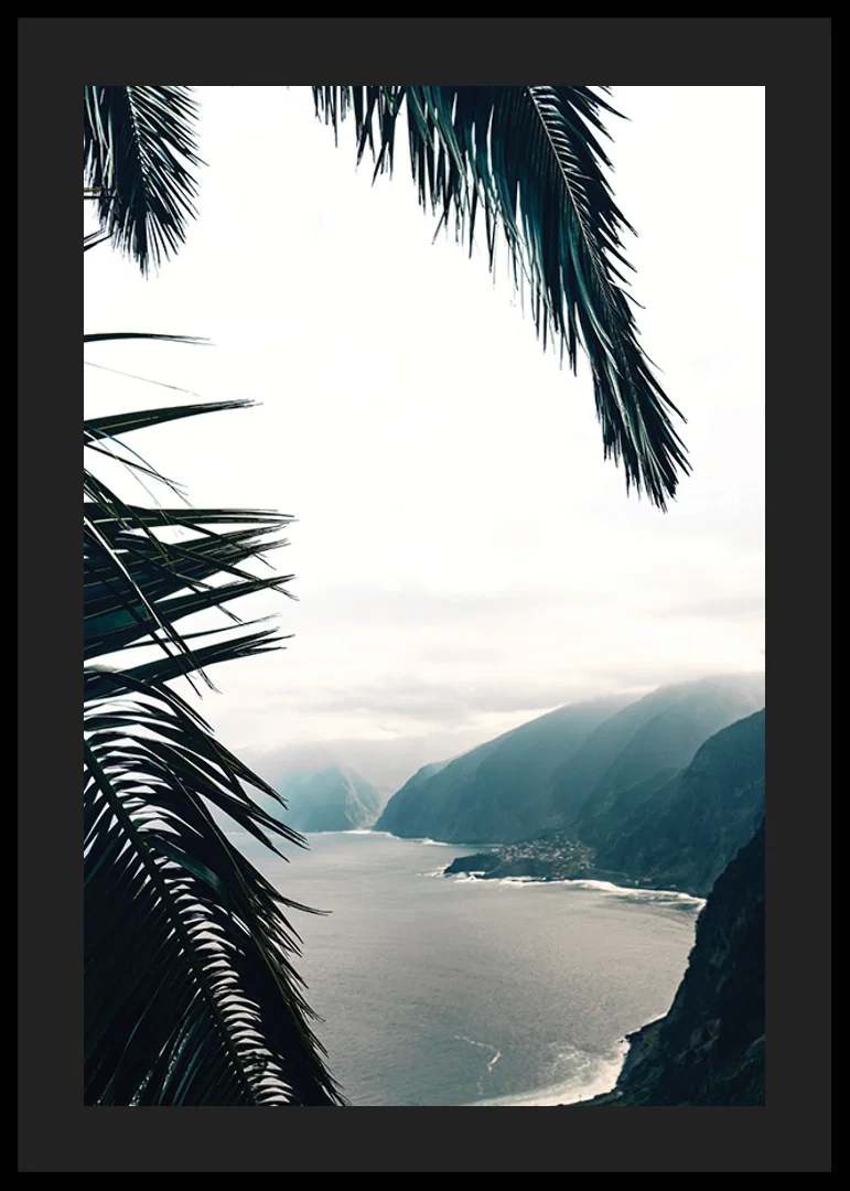 Photograph of palm leaves in the foreground with coast and mountains in fog-12