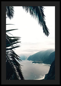 Photographie de feuilles de palmier au premier plan avec la côte et les montagnes dans le brouillard-4