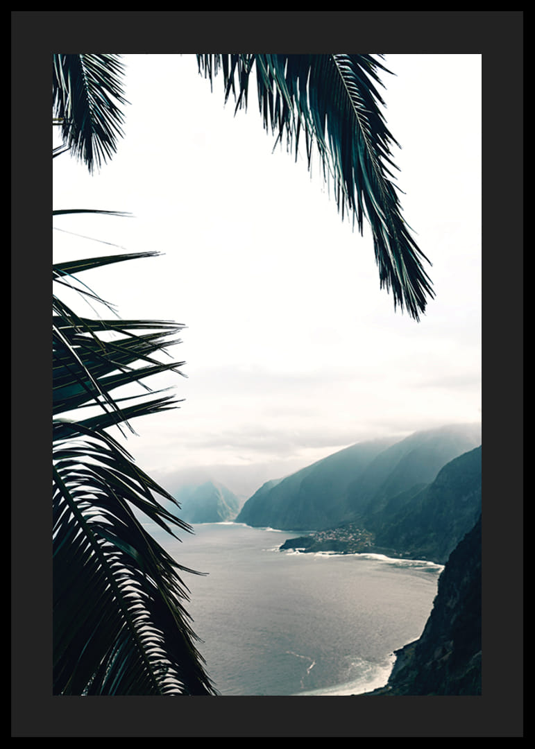 Photographie de feuilles de palmier au premier plan avec la côte et les montagnes dans le brouillard-12