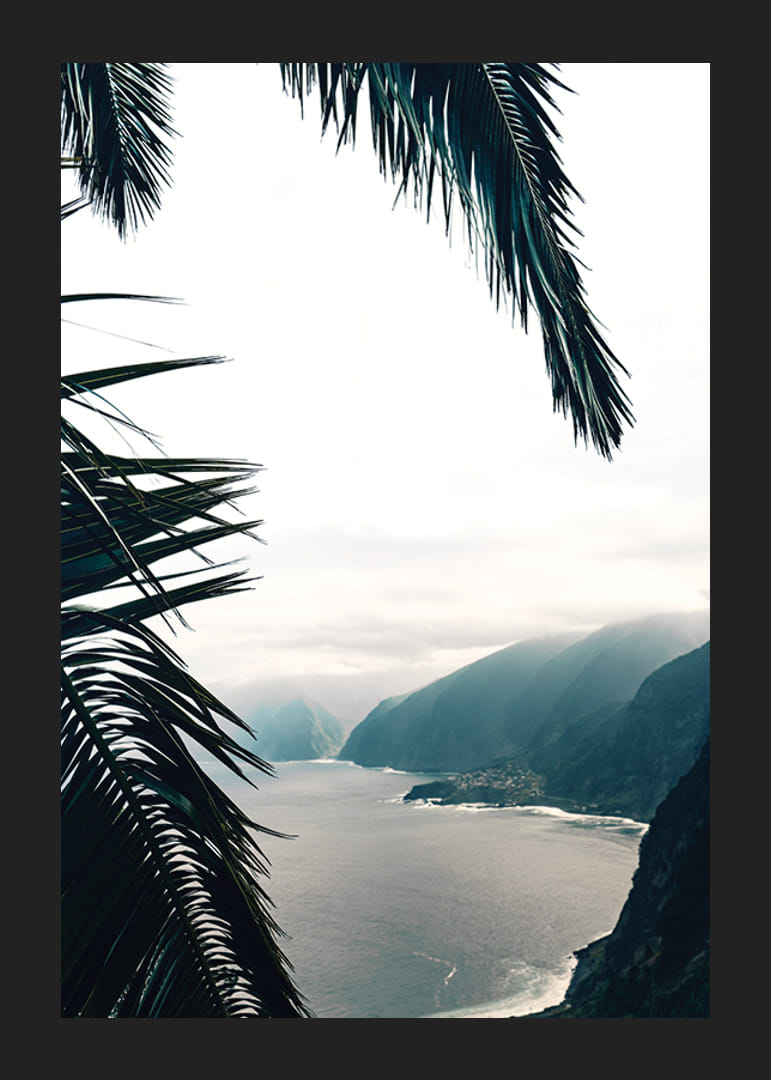 Photographie de feuilles de palmier au premier plan avec la côte et les montagnes dans le brouillard-12
