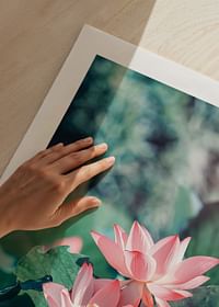 Lotus Flowers-5
