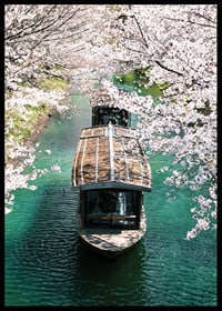 Photograph of wooden boat on Uji Canal surrounded by cherry blossoms-6