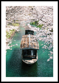 Photograph of wooden boat on Uji Canal surrounded by cherry blossoms-0