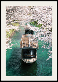 Fotografie cu o barcă de lemn pe Canalul Uji, înconjurată de flori de cireș-2