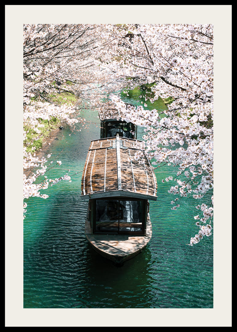 Fotografie cu o barcă de lemn pe Canalul Uji, înconjurată de flori de cireș-12