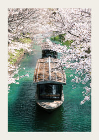 Fotografie cu o barcă de lemn pe Canalul Uji, înconjurată de flori de cireș-3