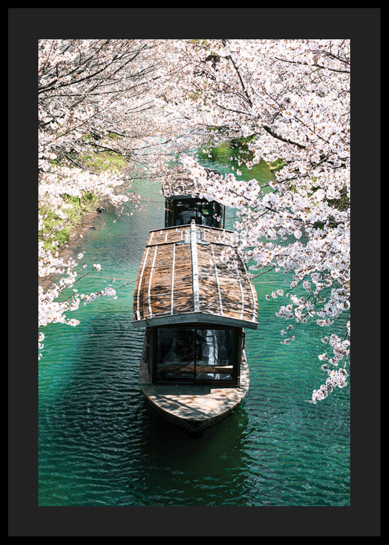 Fotografie cu o barcă de lemn pe Canalul Uji, înconjurată de flori de cireș-12