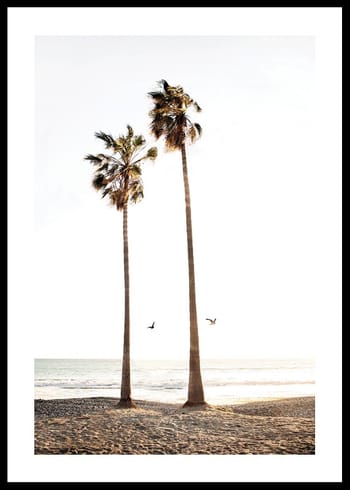 Poster Paradise Palm Trees