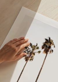 Fotografi med två höga palmer vid sandstrand och hav-9