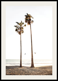 Foto met twee hoge palmbomen bij zandstrand en zee-2