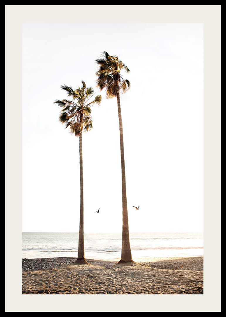 Foto met twee hoge palmbomen bij zandstrand en zee-12